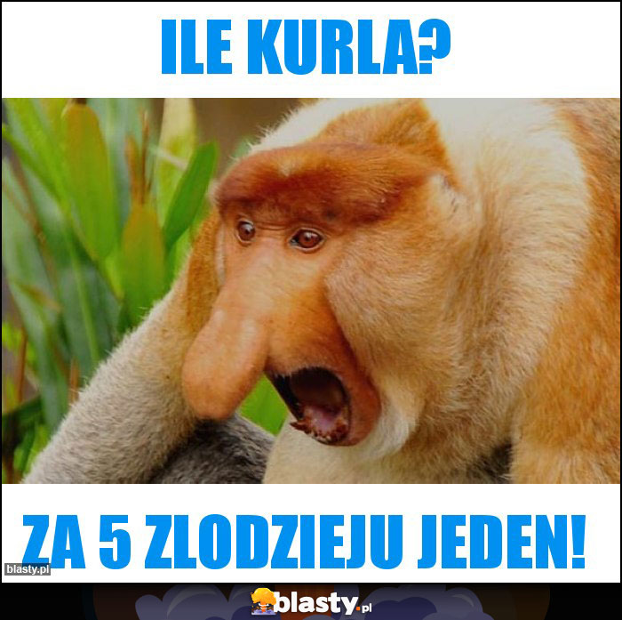 Ile kurla?