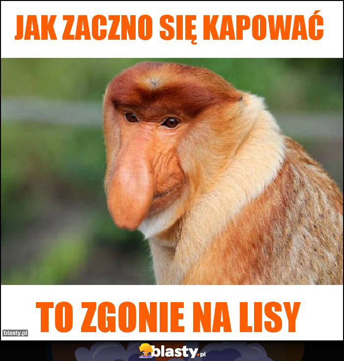 Jak zaczno się kapować