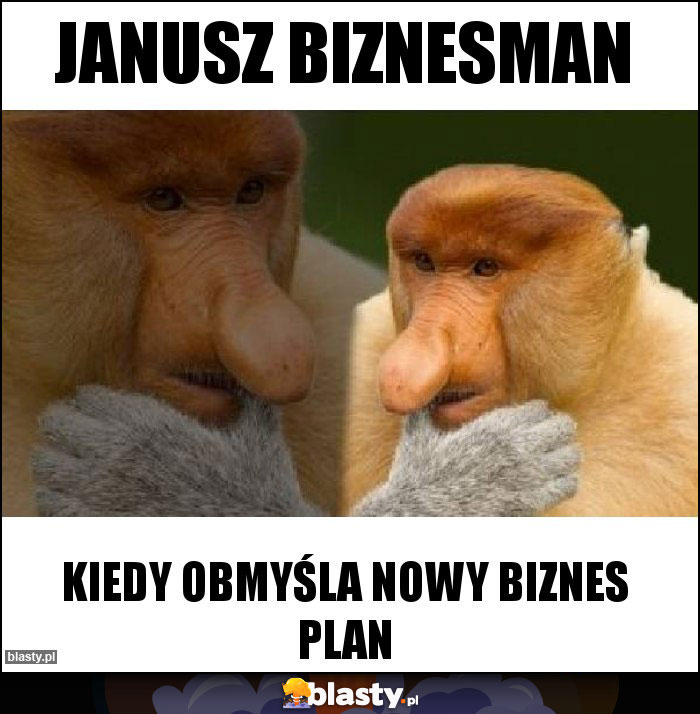 Janusz Biznesman