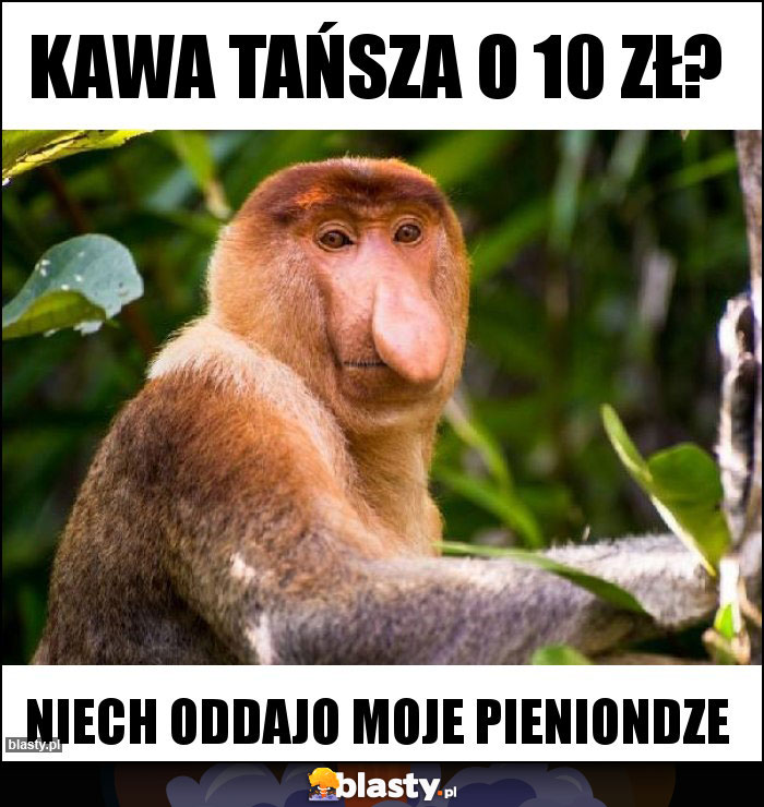 Kawa tańsza o 10 zł?