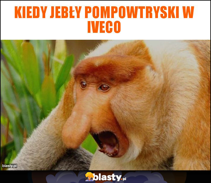 Kiedy jebły pompowtryski w IVECO