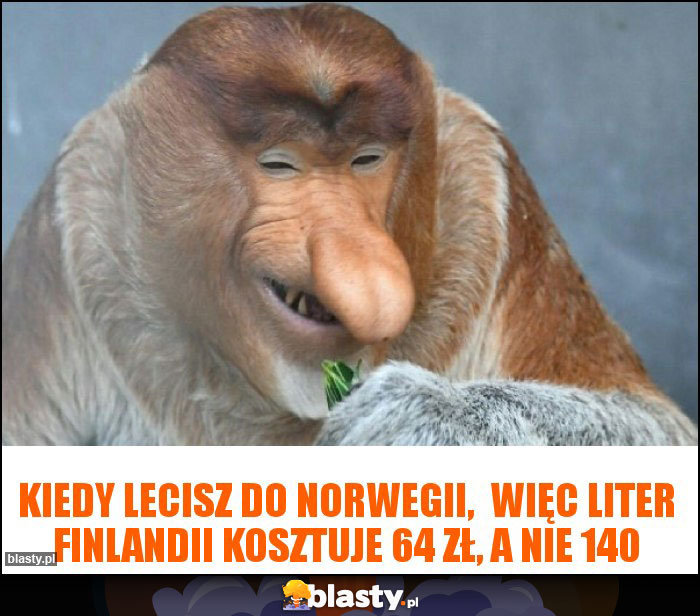 Kiedy lecisz do Norwegii,  więc liter Finlandii kosztuje 64 zł, a nie 140