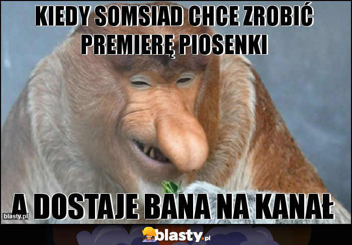 Kiedy somsiad chce zrobić premierę piosenki