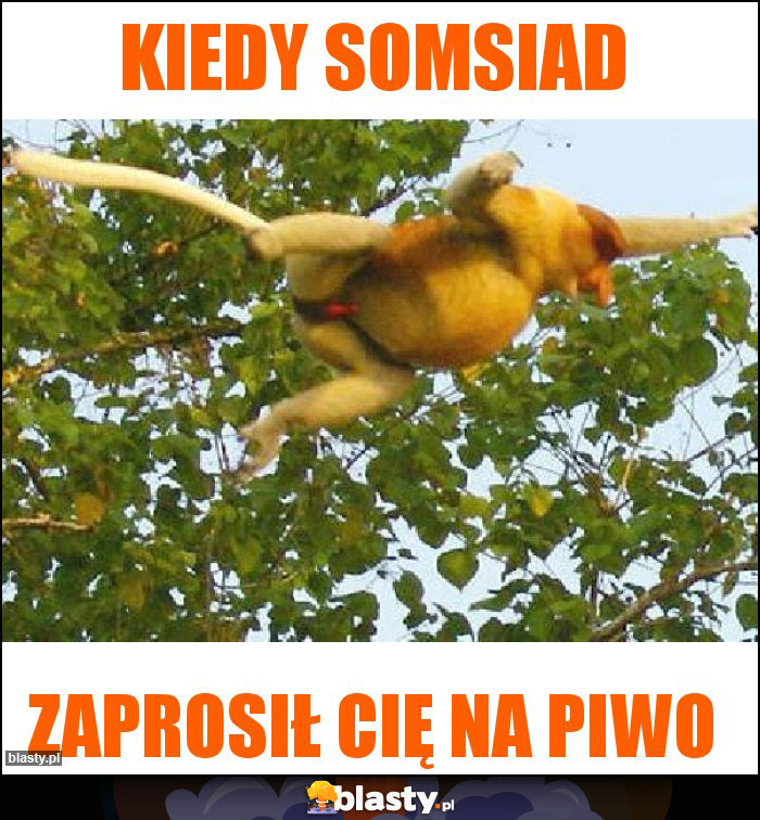 Kiedy somsiad