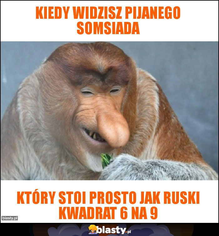 Kiedy widzisz pijanego somsiada
