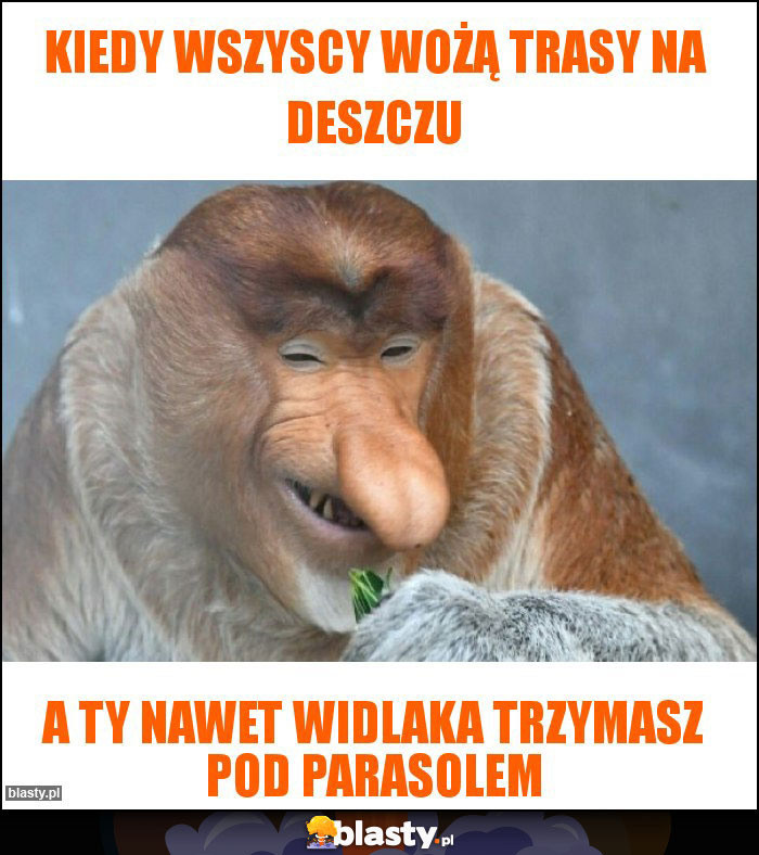 kiedy wszyscy wożą trasy na deszczu