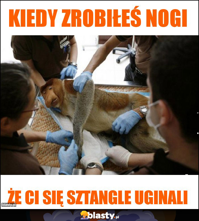 Kiedy zrobiłeś nogi
