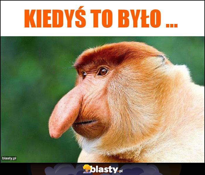 Kiedyś to było ...