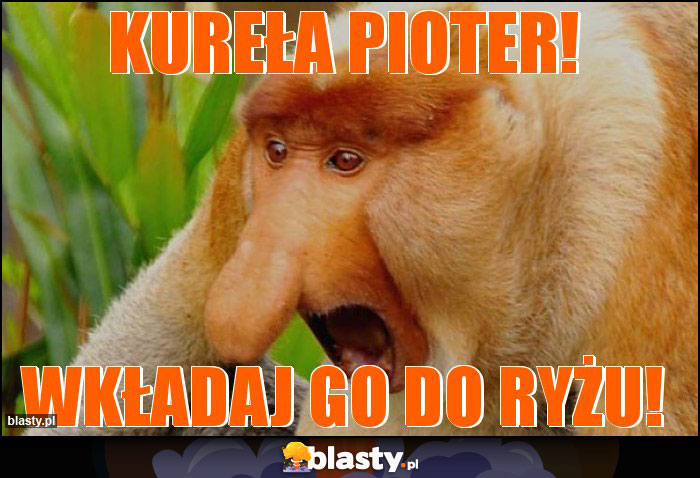 Kureła Pioter!