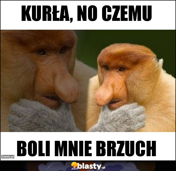 Kurła, no czemu