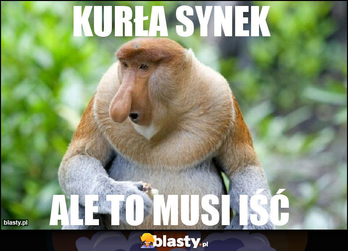 KURŁA SYNEK