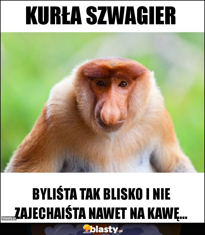 Kurła szwagier