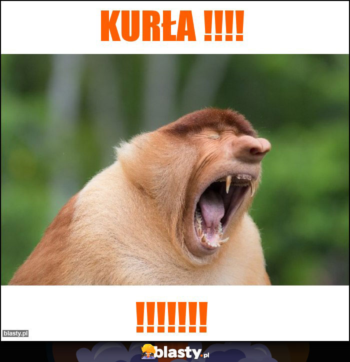 Kurła !!!!