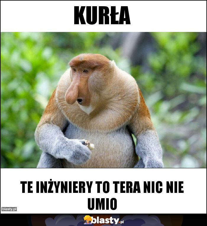 Kurła