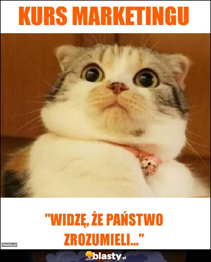 Kurs marketingu