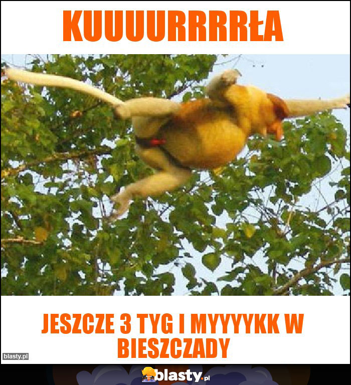 kuuuurrrrła