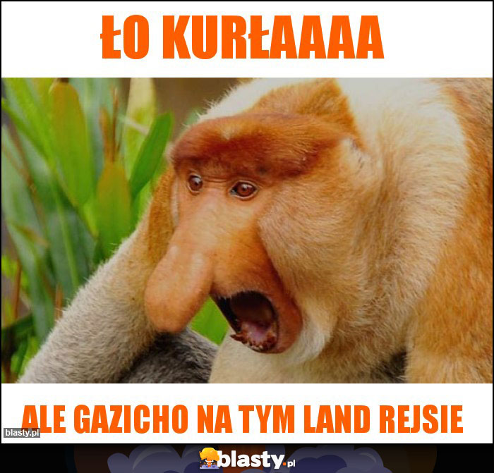 Ło kurłaaaa