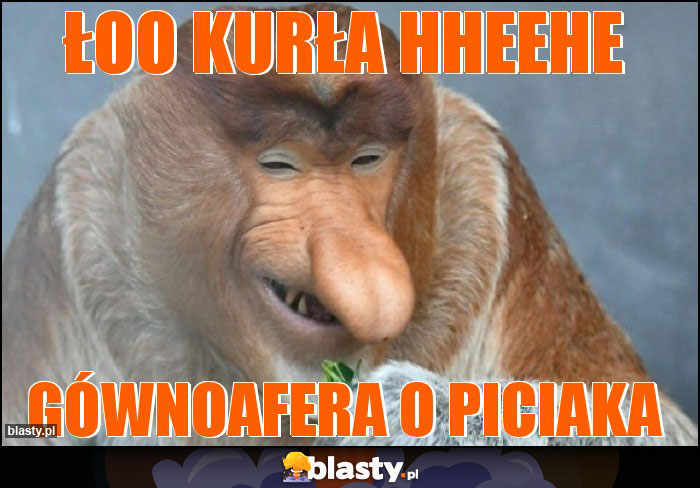 Łoo Kurła hheehe