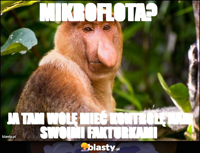Mikroflota?