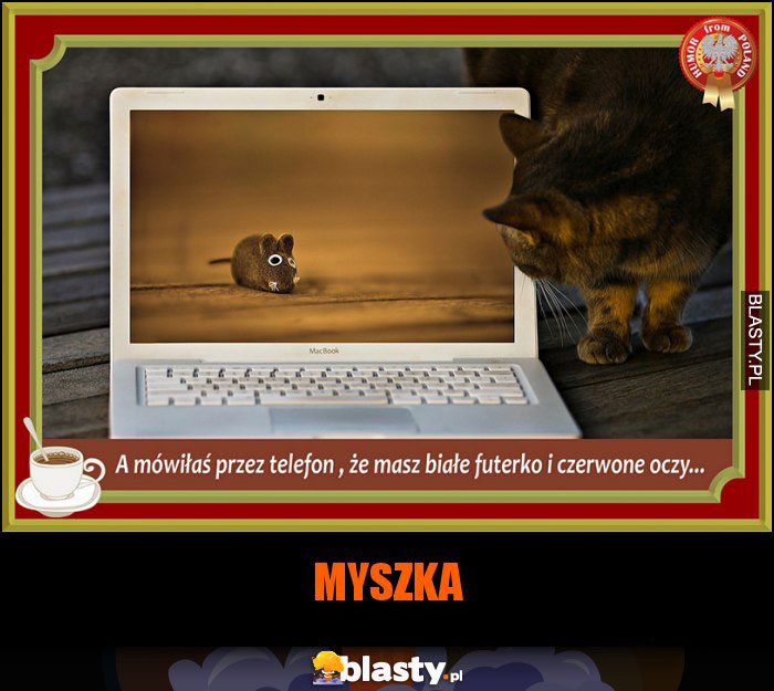 MYSZKA