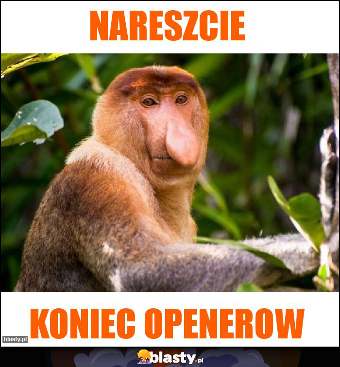 Nareszcie