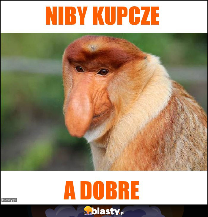 Niby kupcze