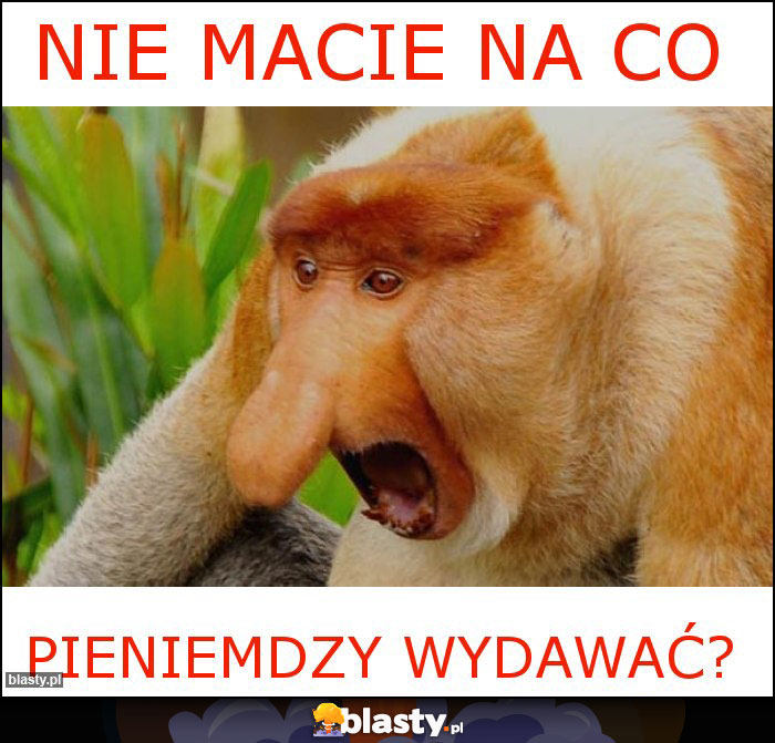 Nie macie na co