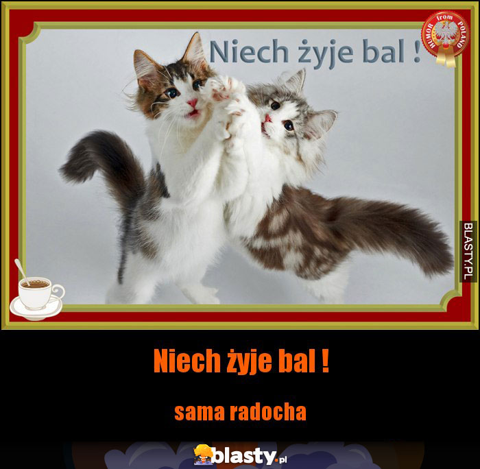 Niech żyje bal !