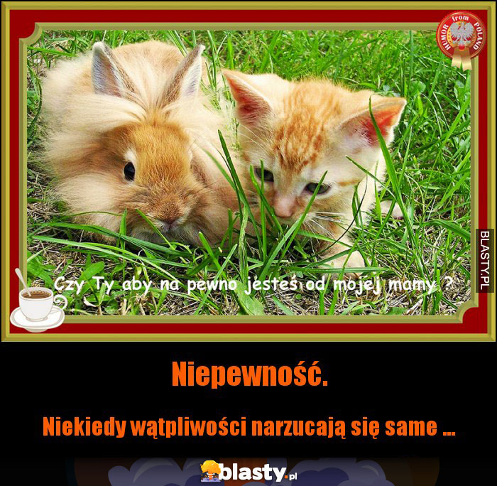 Niepewność.