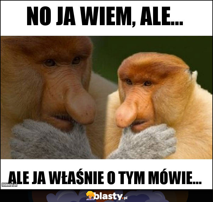 No ja wiem, ale...