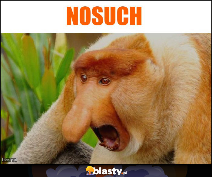 NoSuch