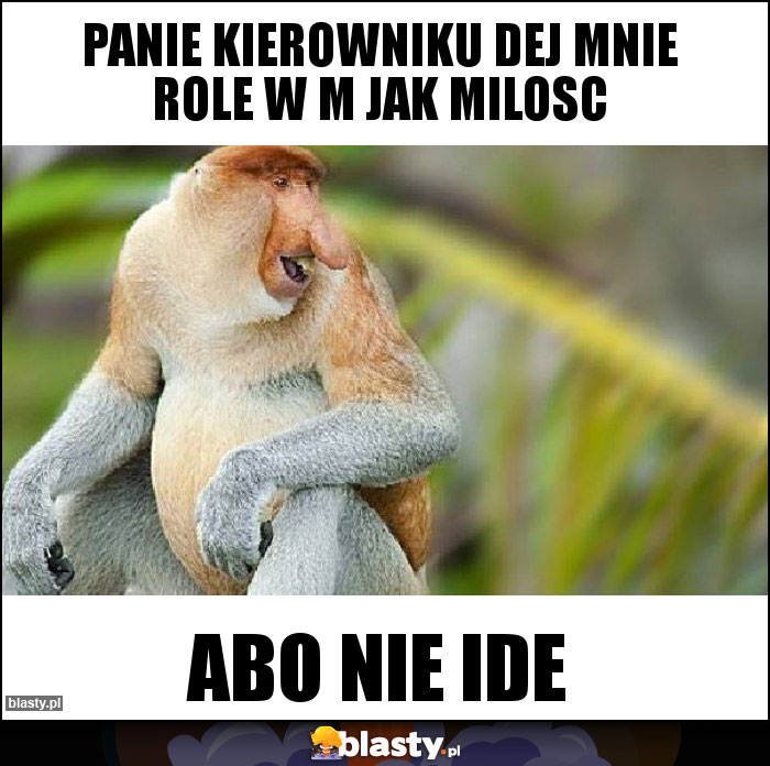 PANIE KIEROWNIKU DEJ MNIE ROLE W M JAK MILOSC