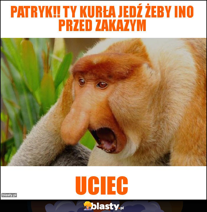 Patryk!! Ty kurła jedź żeby ino przed zakazym