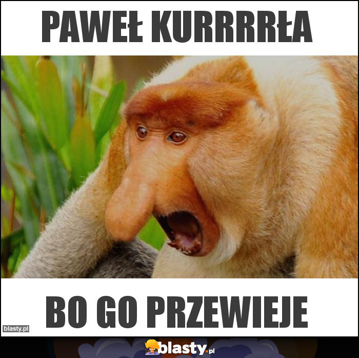 Paweł kurrrrła
