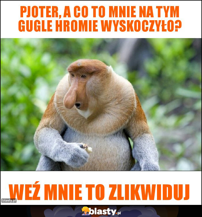 pjoter, a co to mnie na tym gugle hromie wyskoczyło?