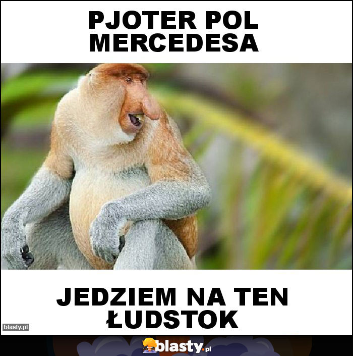 Pjoter pol mercedesa
