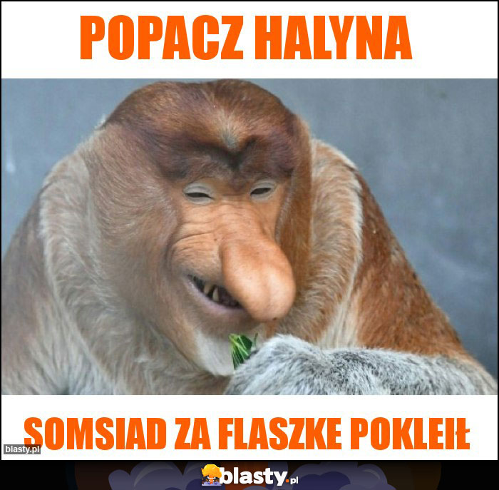 Popacz halyna