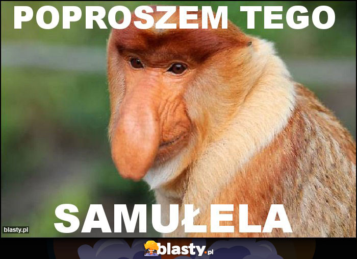 POPROSZEM TEGO