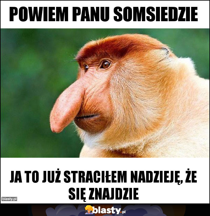 POWIEM PANU SOMSIEDZIE