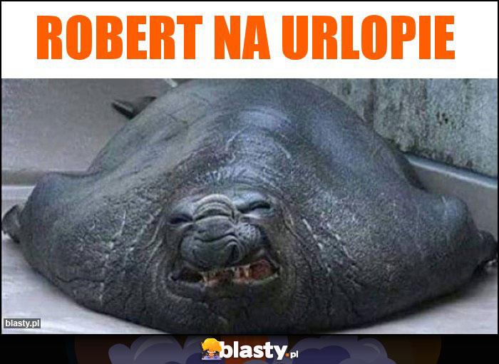 Robert na urlopie