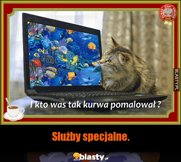 Służby specjalne.