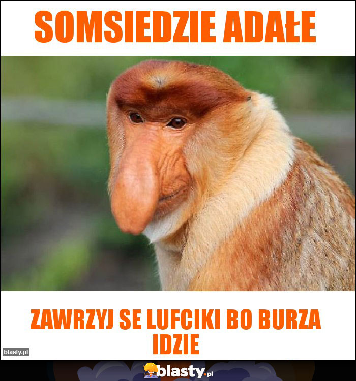 Somsiedzie adałe