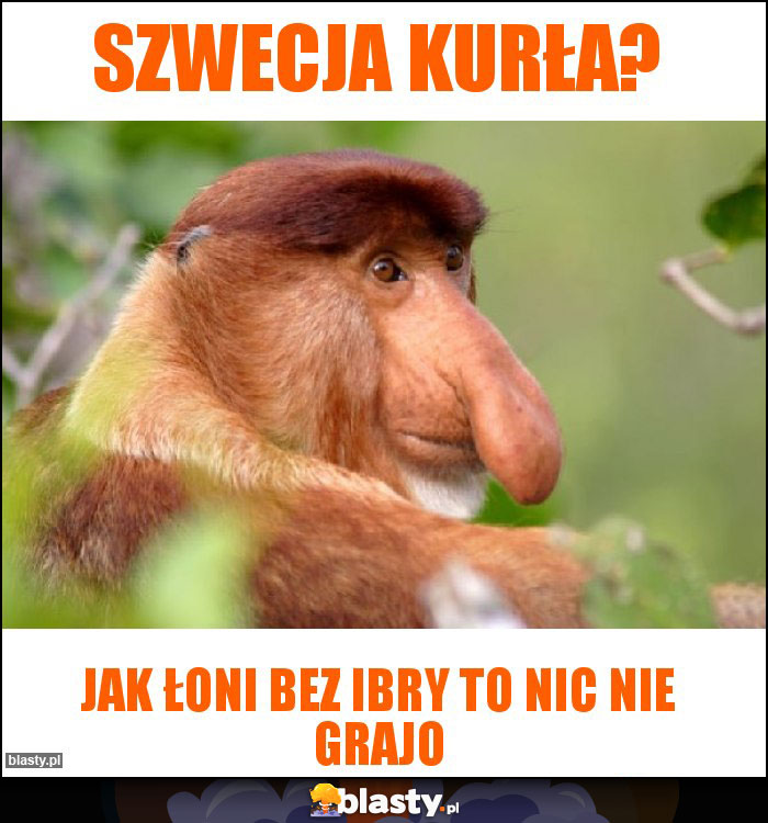 Szwecja kurła?