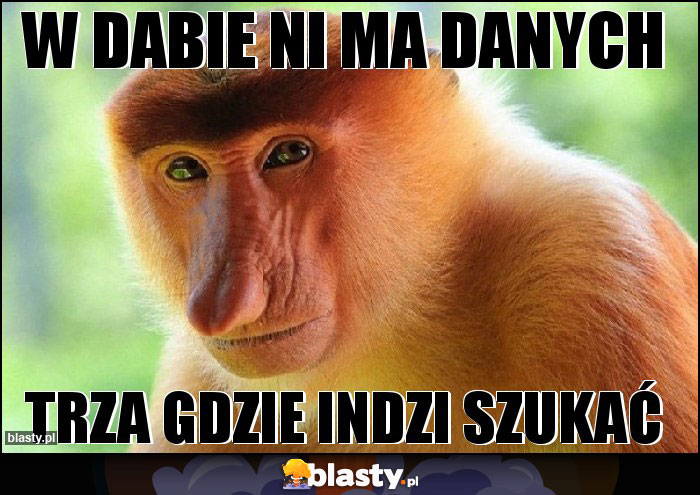W DABIE NI MA DANYCH