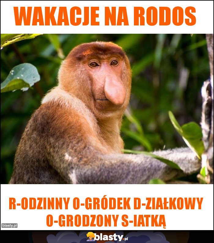 Wakacje na rodos