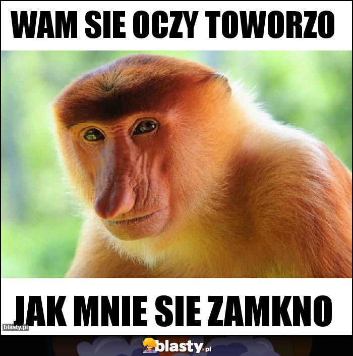 wam sie oczy toworzo