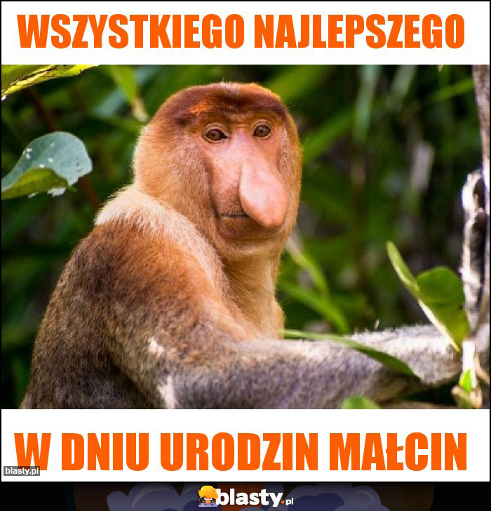 Wszystkiego najlepszego