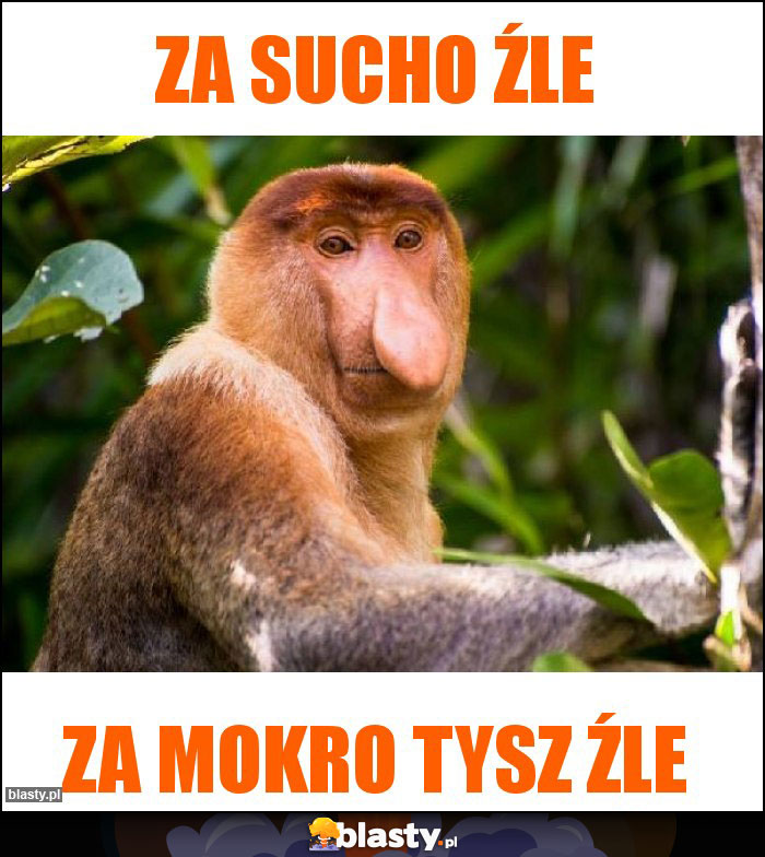 Za sucho źle