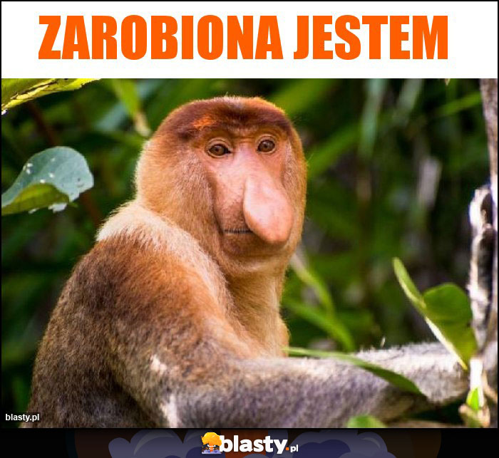 Zarobiona jestem