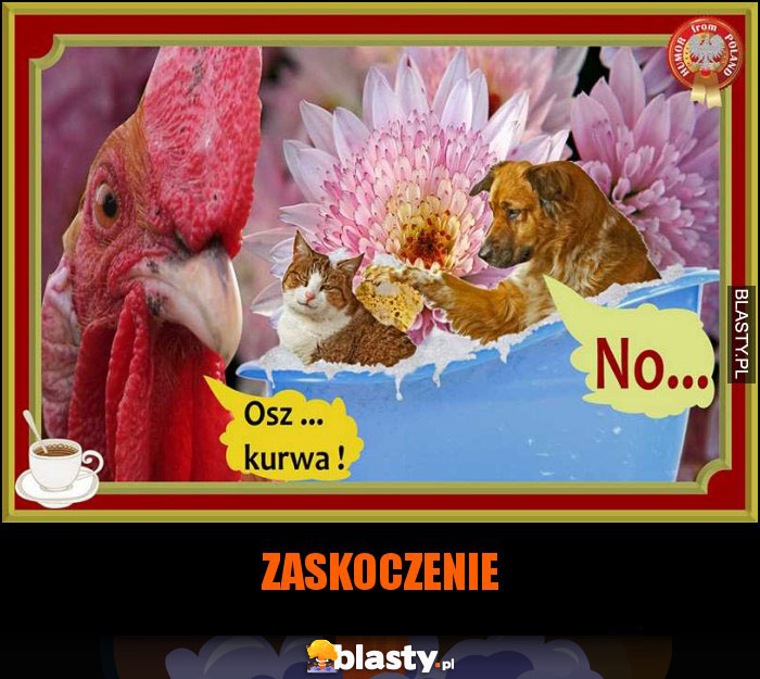 ZASKOCZENIE